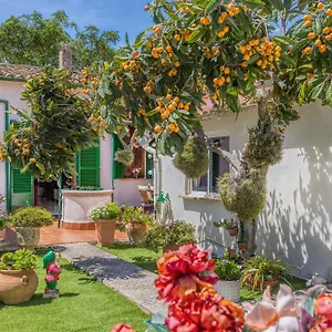 Сasa de vacaciones Casa Vileta, Palma de Mallorca